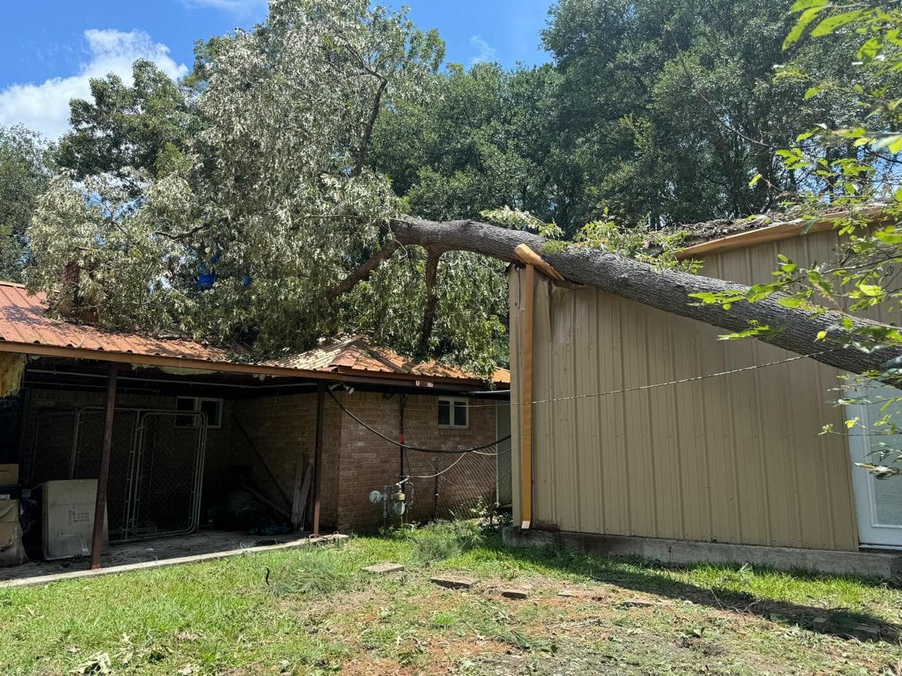 Large tree down across a metal outbuilding and carport roof after severe weather