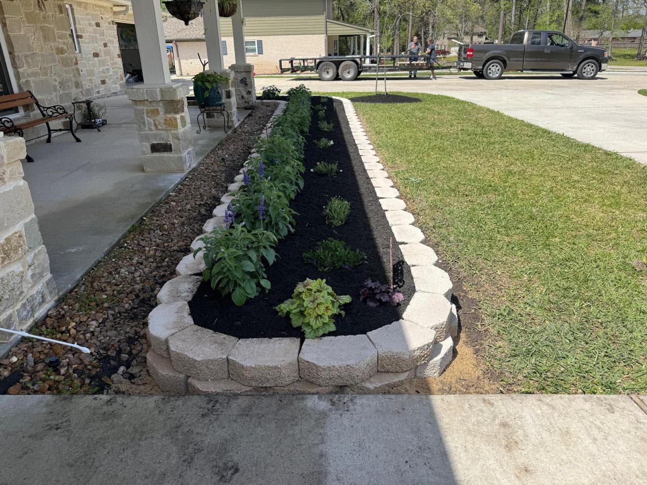 The same raised bed planted out with salvia and perennials and topped with dark mulch