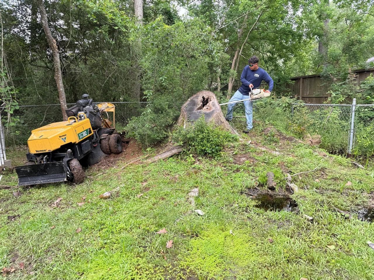 Landscaping & Property Improvements photograph from EG Tree Services in the Cleveland, Texas area