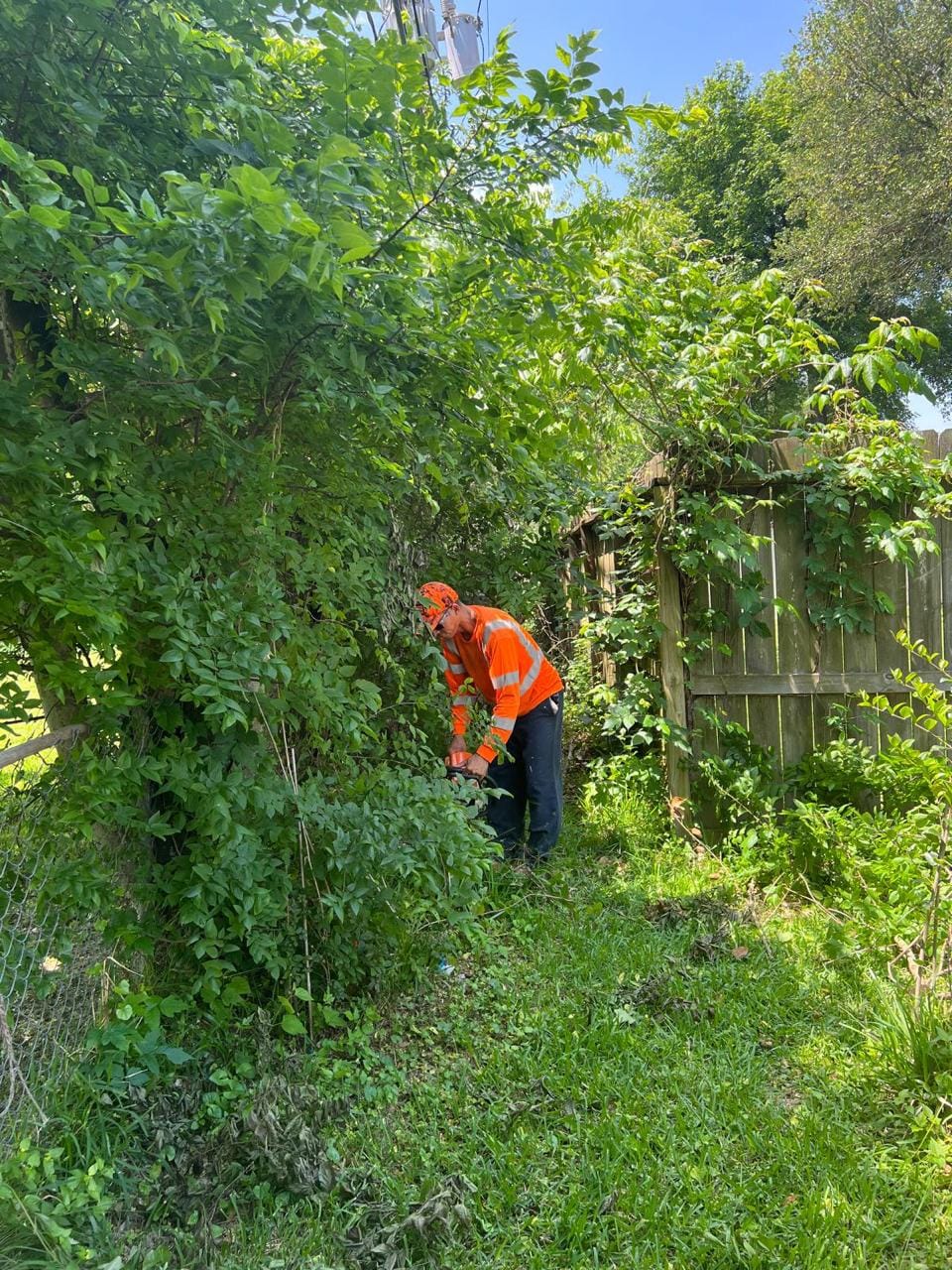Job photograph from an EG Tree Services landscaping and property improvement job in the Cleveland, Texas area