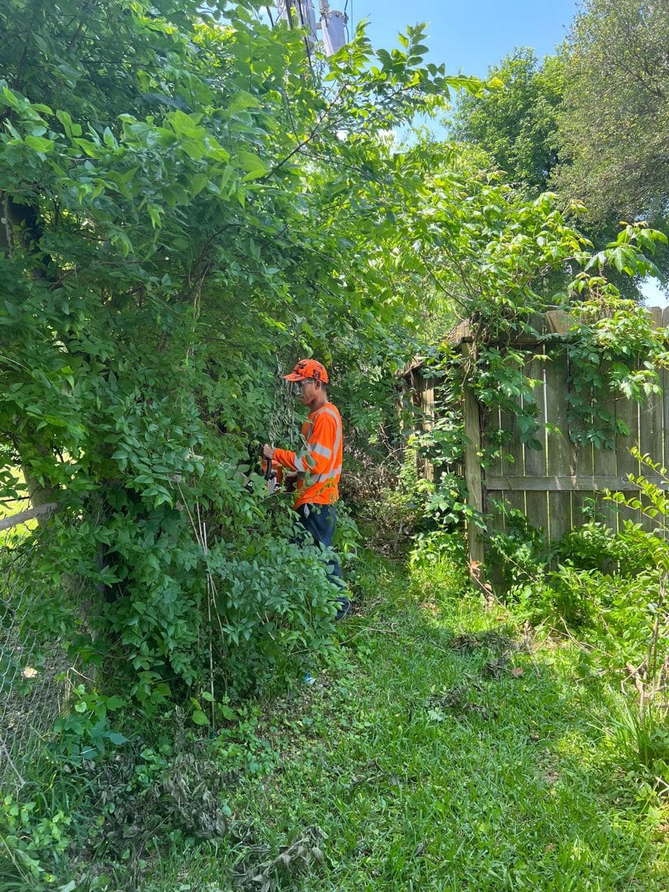 Landscaping & Property Improvements photograph from EG Tree Services in the Cleveland, Texas area