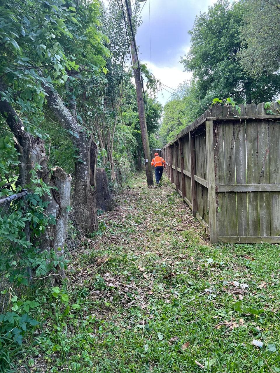 Landscaping & Property Improvements photograph from EG Tree Services in the Cleveland, Texas area