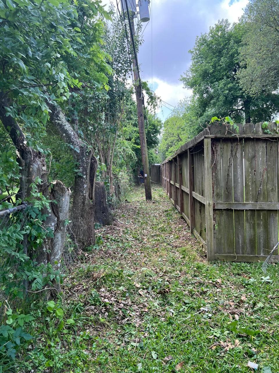 Landscaping & Property Improvements photograph from EG Tree Services in the Cleveland, Texas area