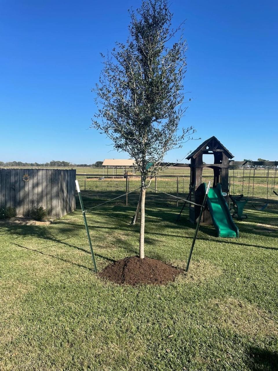 Landscaping & Property Improvements photograph from EG Tree Services in the Cleveland, Texas area
