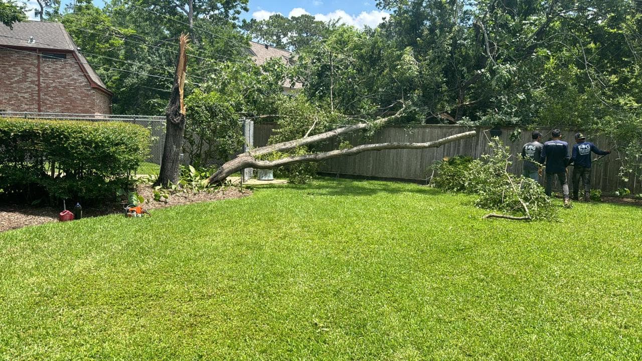 Landscaping & Property Improvements photograph from EG Tree Services in the Cleveland, Texas area