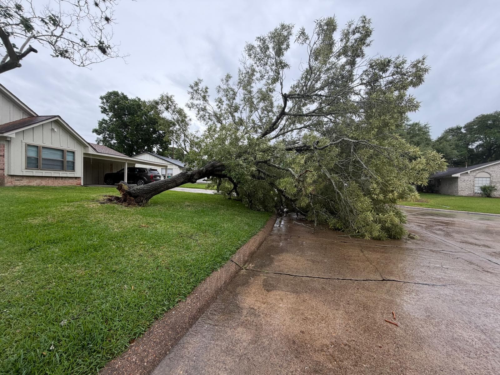 Landscaping & Property Improvements photograph from EG Tree Services in the Cleveland, Texas area