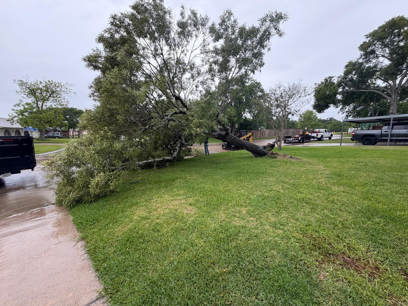 Landscaping & Property Improvements photograph from EG Tree Services in the Cleveland, Texas area