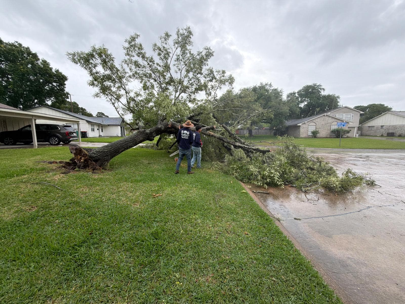 Landscaping & Property Improvements photograph from EG Tree Services in the Cleveland, Texas area