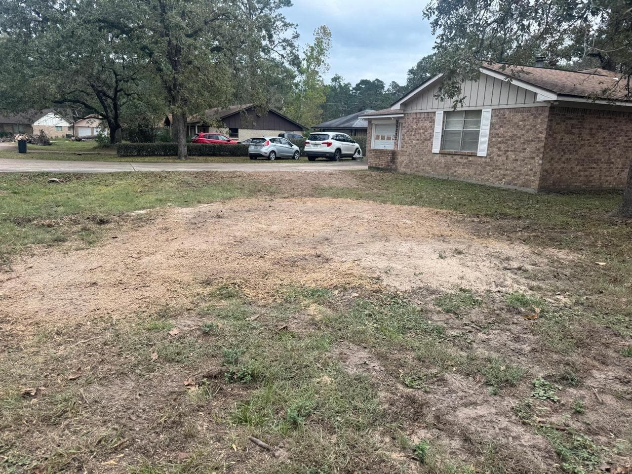 Tree Services photograph from EG Tree Services in the Cleveland, Texas area