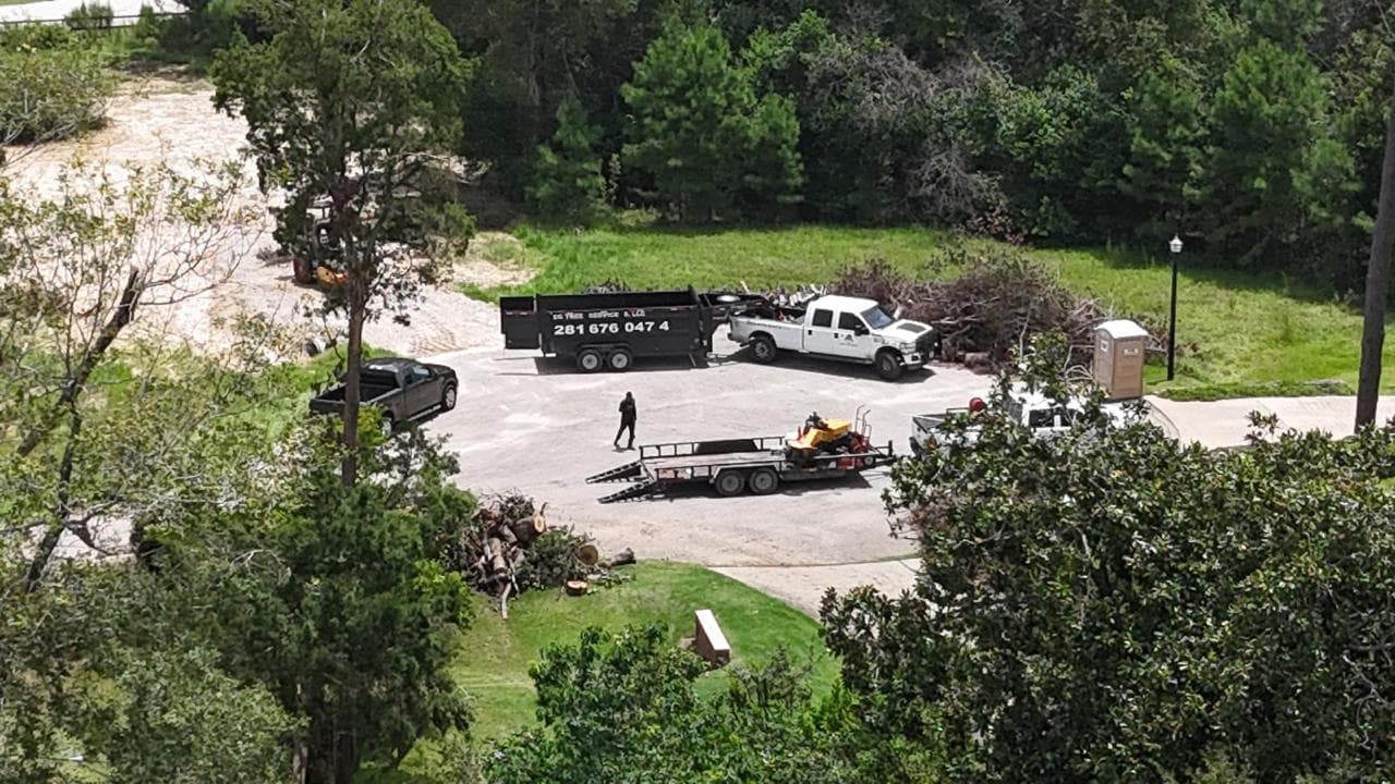 Tree Services photograph from EG Tree Services in the Cleveland, Texas area