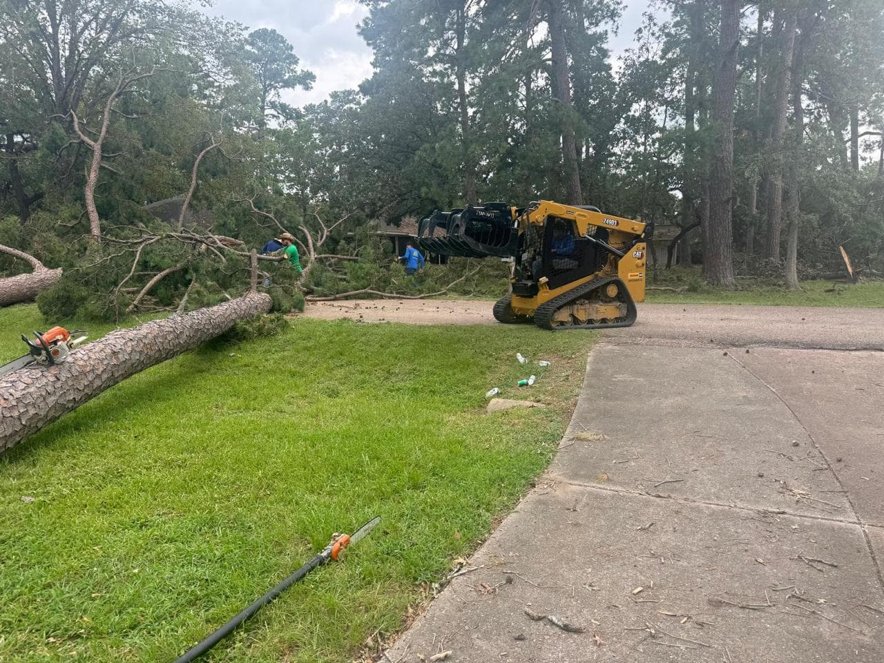 Tree Services photograph from EG Tree Services in the Cleveland, Texas area