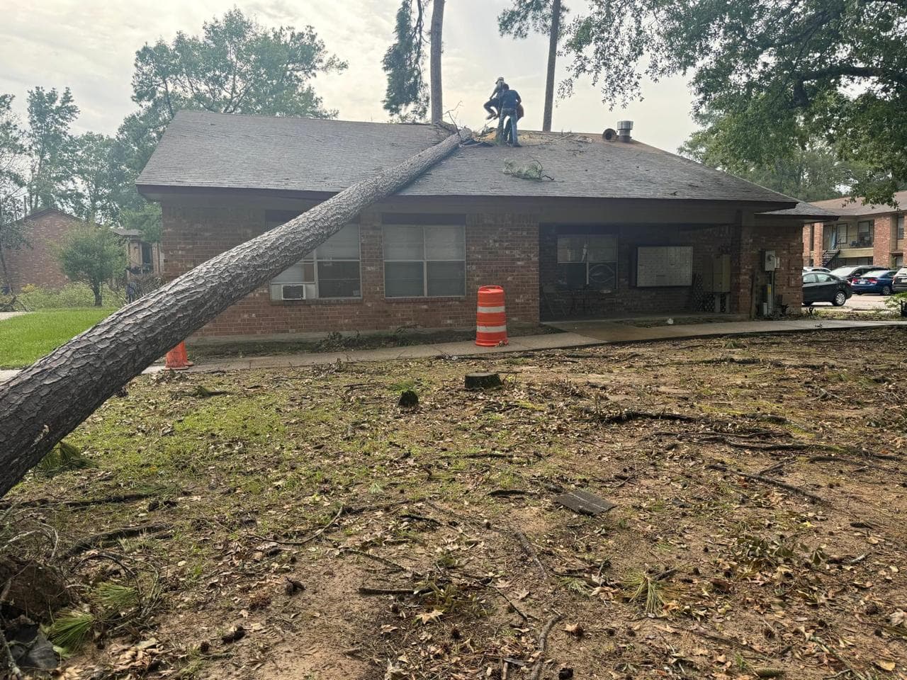 Tree Services photograph from EG Tree Services in the Cleveland, Texas area