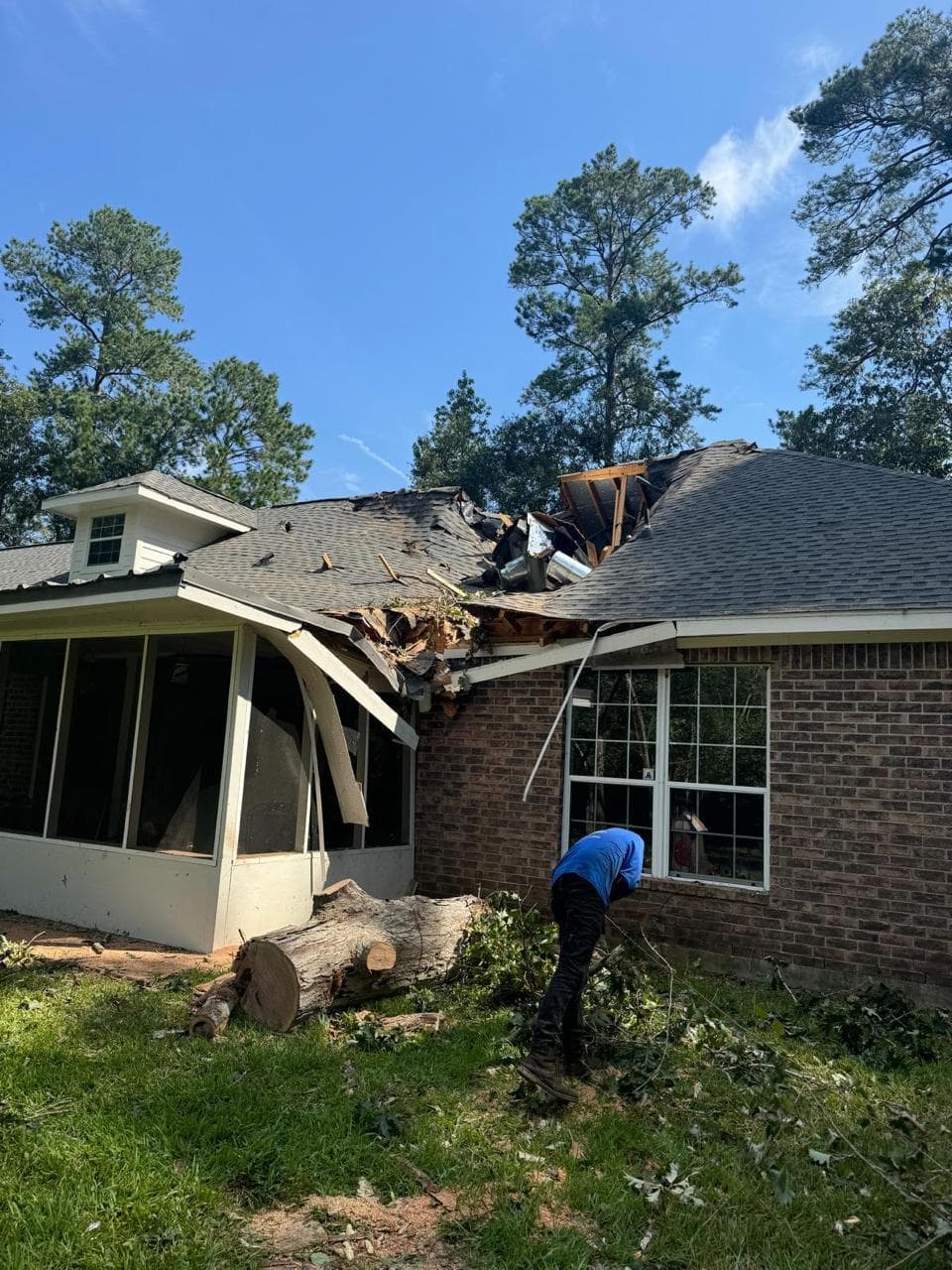 Tree Services photograph from EG Tree Services in the Cleveland, Texas area