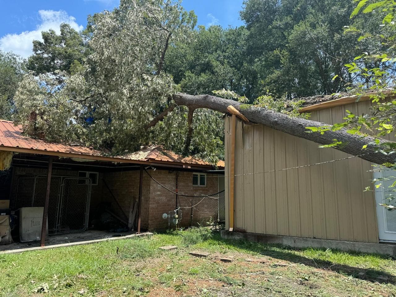 Tree Services photograph from EG Tree Services in the Cleveland, Texas area