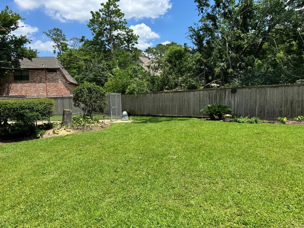 Tree Services photograph from EG Tree Services in the Cleveland, Texas area