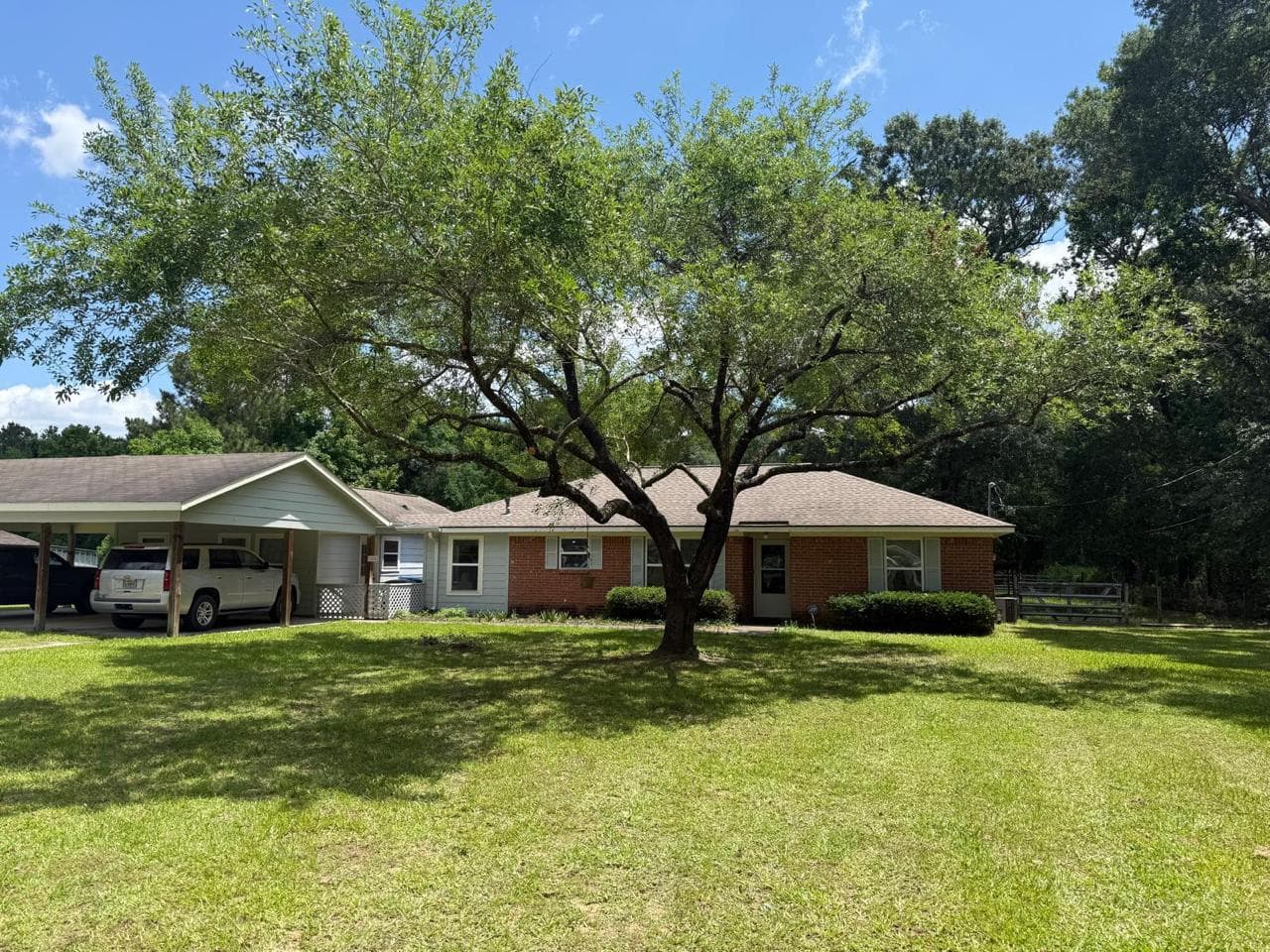 Job photograph from EG Tree Services tree work in the Cleveland, Texas area