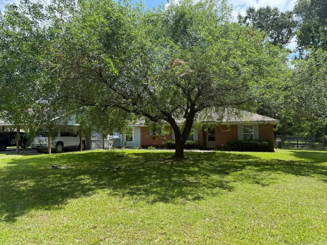 Job photograph from EG Tree Services tree work in the Cleveland, Texas area