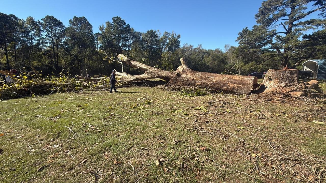 Tree Services photograph from EG Tree Services in the Cleveland, Texas area